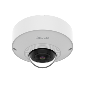 QNF-C9010V — 12MP AI Fisheye Camera